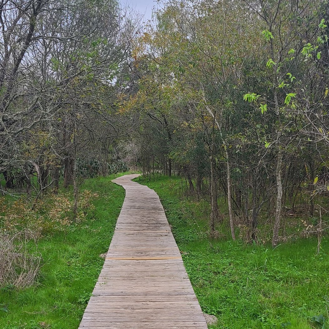 Ringtail Ridge Natural Area 1